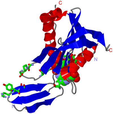 Image Asym. Unit - sites