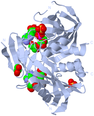 Image Biological Unit 1