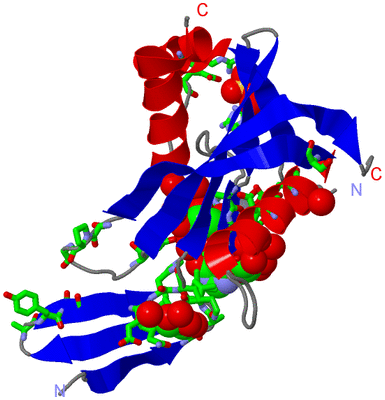 Image Asym. Unit - sites