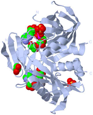 Image Biological Unit 1