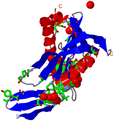 Image Asym. Unit - sites