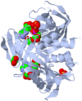 Image Biological Unit 1