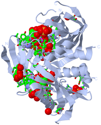 Image Biol. Unit 1 - sites