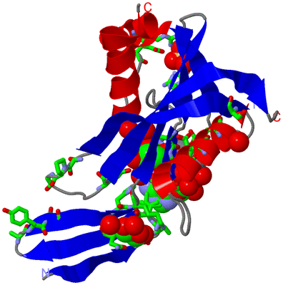 Image Asym. Unit - sites