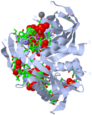 Image Biol. Unit 1 - sites