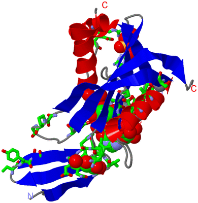 Image Asym. Unit - sites