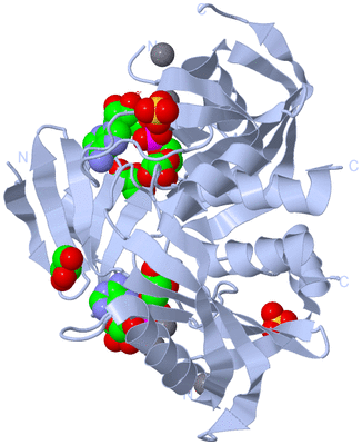 Image Biological Unit 1