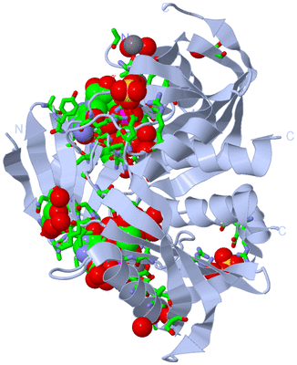 Image Biol. Unit 1 - sites