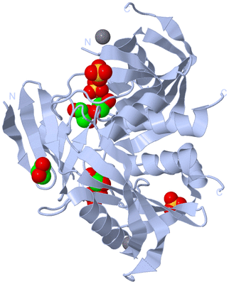 Image Biological Unit 1