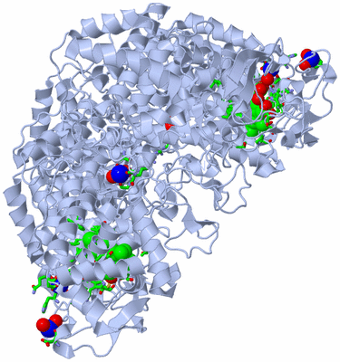 Image Biol. Unit 1 - sites