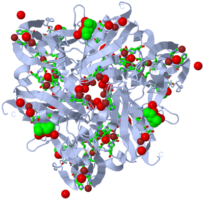 Image Biol. Unit 1 - sites