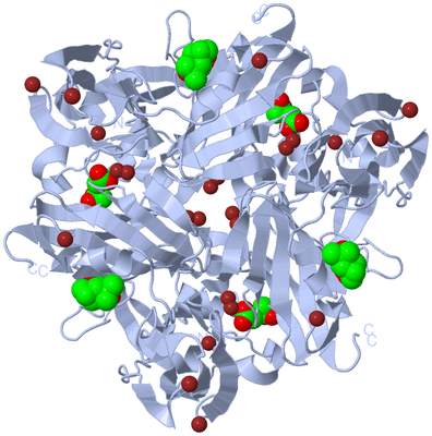 Image Biological Unit 1