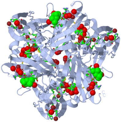 Image Biol. Unit 1 - sites