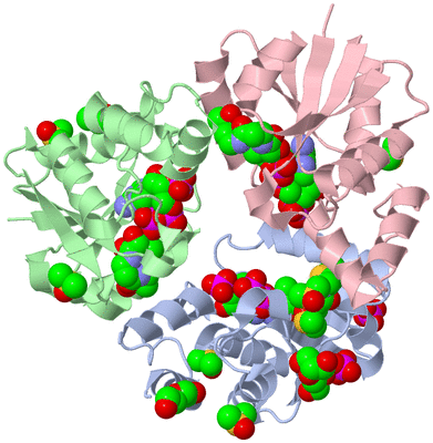 Image Asym./Biol. Unit