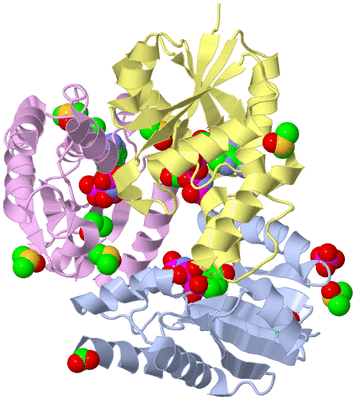 Image Biological Unit 1