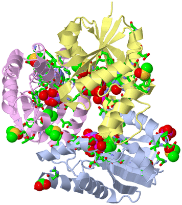 Image Biol. Unit 1 - sites