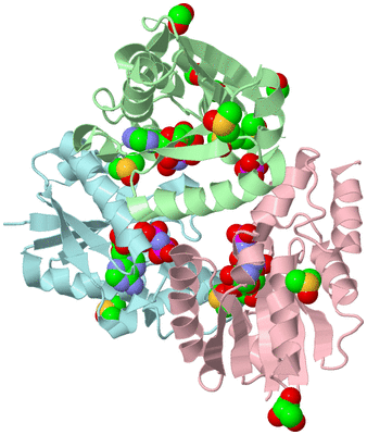 Image Biological Unit 2