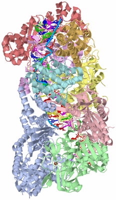 Image Asym./Biol. Unit