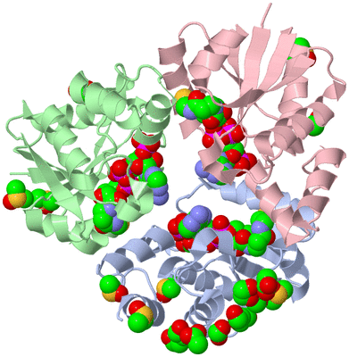 Image Asym./Biol. Unit