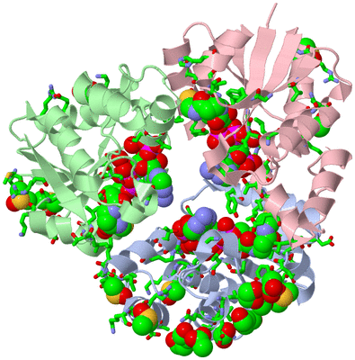 Image Asym./Biol. Unit - sites