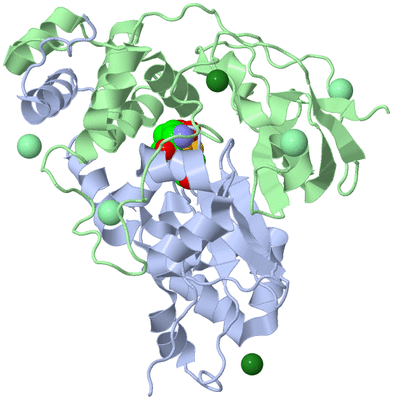 Image Asym./Biol. Unit