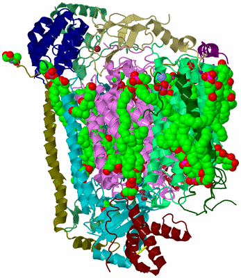 Image Biological Unit 2