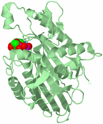 Image Biological Unit 2