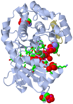 Image Asym./Biol. Unit - sites