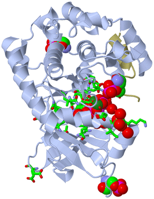 Image Asym./Biol. Unit - sites