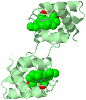 Image Biological Unit 2