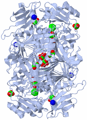 Image Biological Unit 1