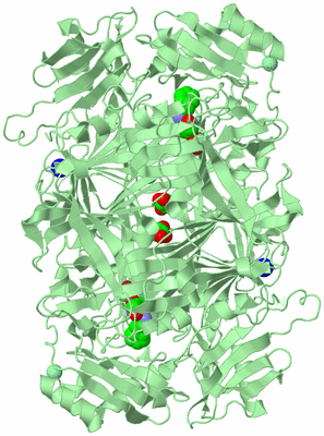 Image Biological Unit 2