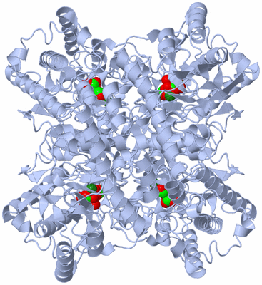 Image Biological Unit 1