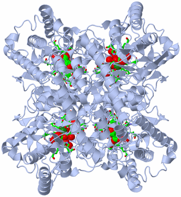 Image Biol. Unit 1 - sites