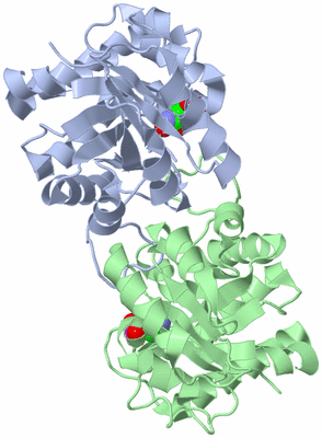 Image Asym./Biol. Unit