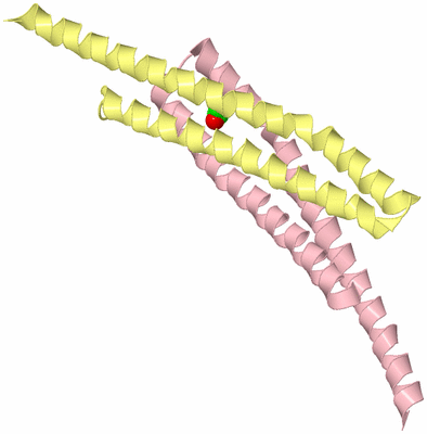 Image Biological Unit 3