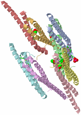 Image Asym. Unit - sites