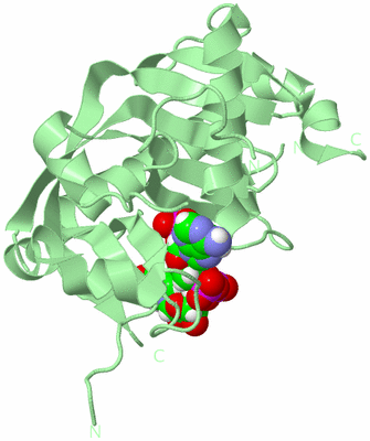 Image Biological Unit 2