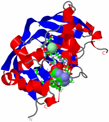 Image Asym./Biol. Unit - sites