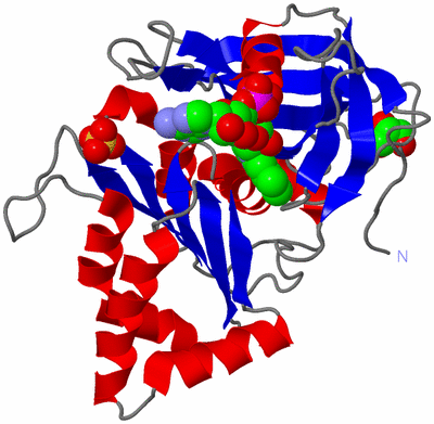 Image Asym./Biol. Unit