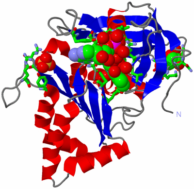 Image Asym./Biol. Unit - sites