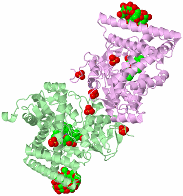 Image Biological Unit 2