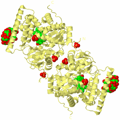 Image Biological Unit 4