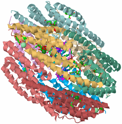 Image Biol. Unit 1 - sites