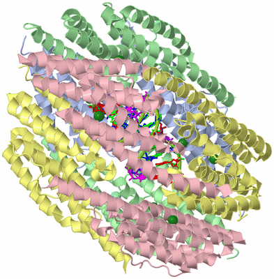 Image Biological Unit 2