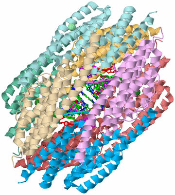 Image Biological Unit 3