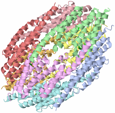 Image Asym./Biol. Unit - sites