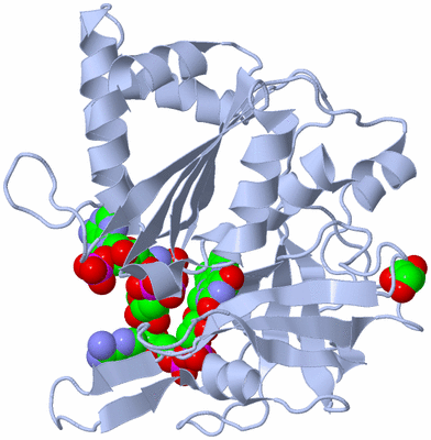 Image Biological Unit 1