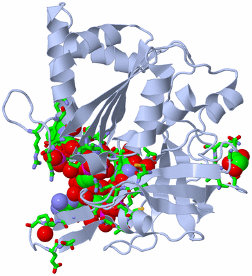 Image Biol. Unit 1 - sites