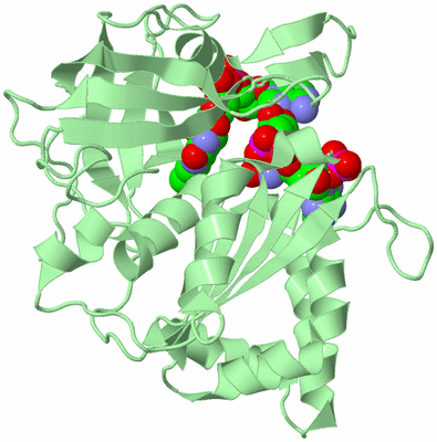 Image Biological Unit 2